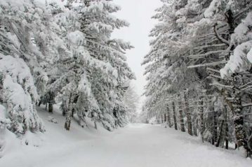 Φλαμπούρι - 2015-02-21 - Ανακοίνωση για το Σαββατοκύριακο