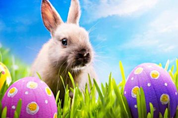 Φλαμπούρι - 2015-04-12 - Καλό Πάσχα