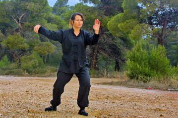 Φλαμπούρι - 2015-05-24 - Σεμινάριο T’ai Chi Ch’uan στο ελατόδασος της Πάρνηθας