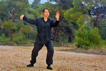 Φλαμπούρι - 2016-03-06 - Σεμινάριο T’ai Chi και Chi kung στο ελατόδασος της Πάρνηθας