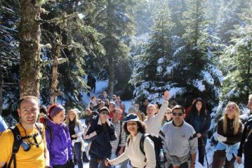 Φλαμπούρι - 2015-01-03 - Πεζοπορική βόλτα στον δρυμό της Πάρνηθας