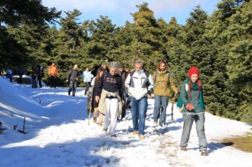 Φλαμπούρι - 2015-01-17 - Πεζοπορική βόλτα στον δρυμό της Πάρνηθας