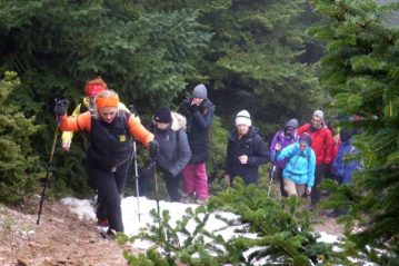 Φλαμπούρι - 2015-02-14 - Πεζοπορική βόλτα στον δρυμό της Πάρνηθας