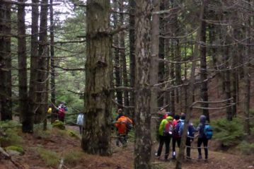 Φλαμπούρι - 2015-03-01 - Πεζοπορία στο δρυμό της Πάρνηθας