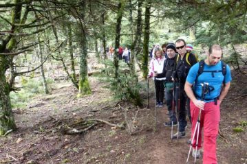 Φλαμπούρι - 2015-03-14 - Πεζοπορική βόλτα στο ελατόδασος της Πάρνηθας