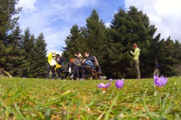 Φλαμπούρι - 2015-03-21 - Πεζοπορική βόλτα στο ελατόδασος της Πάρνηθας