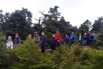 Φλαμπούρι - 2015-03-28 - Πεζοπορική βόλτα στο ελατόδασος της Πάρνηθας