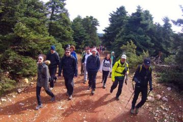 Φλαμπούρι - 2015-04-05 - Πεζοπορία στο δρυμό της Πάρνηθας