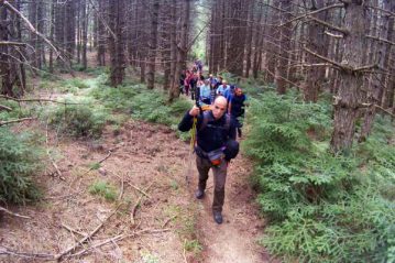 Φλαμπούρι - 2015-05-03 - Πεζοπορία στο δρυμό της Πάρνηθας