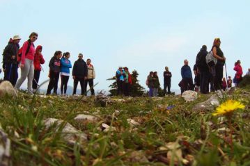 Φλαμπούρι - 2015-05-09 - Πεζοπορική βόλτα στο ελατόδασος της Πάρνηθας