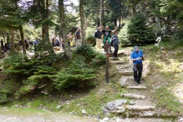 Φλαμπούρι - 2015-05-23 - Πεζοπορική βόλτα στον δρυμό της Πάρνηθας