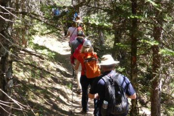 Φλαμπούρι - 2015-09-13 - Πεζοπορική βόλτα στον δρυμό της Πάρνηθας