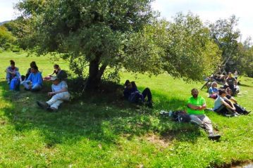 Φλαμπούρι - 2015-06-27 - Πεζοπορική βόλτα στο ελατόδασος της Πάρνηθας