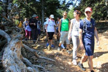 Φλαμπούρι - 2015-09-12 - Πεζοπορία στο δρυμό της Πάρνηθας