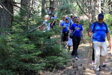 Φλαμπούρι - 2015-09-19 - Πεζοπορική βόλτα στο ελατόδασος της Πάρνηθας