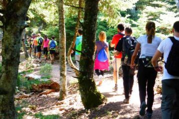 Φλαμπούρι - 2015-10-11 - Πεζοπορία στο δρυμό της Πάρνηθας