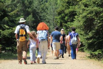 Φλαμπούρι - 2015-10-17 - Πεζοπορική βόλτα για μικρούς και μεγάλους στo ελατόδασος της Πάρνηθας