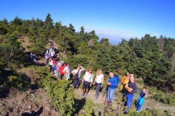 Φλαμπούρι - 2015-10-18 - Πεζοπορία στο δρυμό της Πάρνηθας