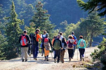 Φλαμπούρι - 2015-11-21 - Πεζοπορία στο δρυμό της Πάρνηθας