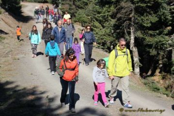 Φλαμπούρι - 2015-12-12 - Πεζοπορική βόλτα για μικρούς και μεγάλους στo ελατόδασος της Πάρνηθας