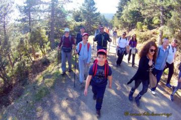 Φλαμπούρι - 2016-01-06 - Πεζοπορική βόλτα για μικρούς και μεγάλους στo ελατόδασος της Πάρνηθας