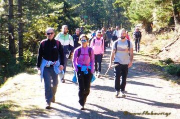 Φλαμπούρι - 2016-01-09 - Πεζοπορική βόλτα στο δρυμό της Πάρνηθας