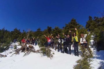 Φλαμπούρι - 2016-01-24 - Πεζοπορία στο χιονισμένο ελατόδασος της Πάρνηθας