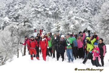 Φλαμπούρι - 2016-01-30 - Πεζοπορική βόλτα στο δρυμό της Πάρνηθας