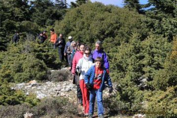 Φλαμπούρι - 2016-02-06 - Πεζοπορική βόλτα στο δρυμό της Πάρνηθας
