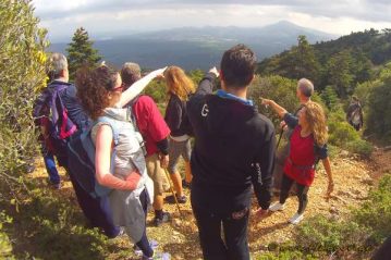 Φλαμπούρι - 2016-02-20 - Πεζοπορική βόλτα στο δρυμό της Πάρνηθας