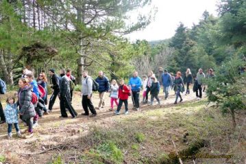 Φλαμπούρι - 2016-03-13 - Πεζοπορική βόλτα για μικρούς και μεγάλους στo ελατόδασος της Πάρνηθας
