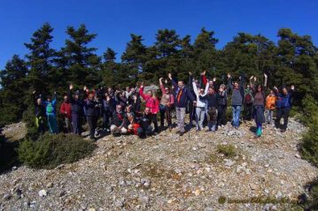 Φλαμπούρι - 2016-03-20 - Διπλή πεζοπορική βόλτα στο ελατόδασος της Πάρνηθας