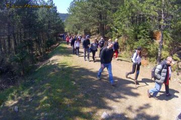 Φλαμπούρι - 2016-03-26 - Πεζοπορική βόλτα στο δρυμό της Πάρνηθας