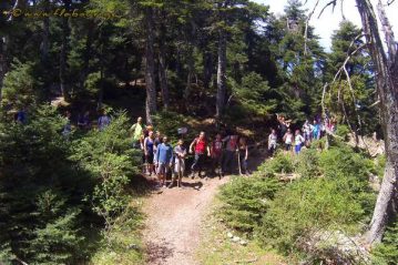 Φλαμπούρι - 2016-05-07 - Πεζοπορική βόλτα στο δρυμό της Πάρνηθας