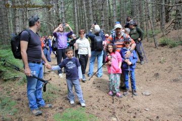 Φλαμπούρι - 2016-05-07 - Πεζοπορική βόλτα για μικρούς και μεγάλους στo ελατόδασος της Πάρνηθας