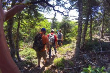Φλαμπούρι - 2016-05-08 - Πεζοπορική βόλτα στο δρυμό της Πάρνηθας