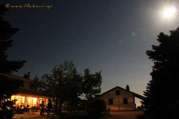 Φλαμπούρι - 2016-05-21 - Απογευματοβραδινή πεζοπορική βόλτα στο ελατόδασος της Πάρνηθας