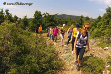 Φλαμπούρι - 2016-06-04 - Πεζοπορική ανάβαση στο Φλαμπούρι από Θρακομακεδόνες
