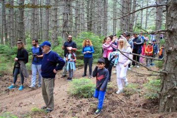 Φλαμπούρι - 2016-06-05 - Πεζοπορική βόλτα για μικρούς και μεγάλους στo ελατόδασος της Πάρνηθας