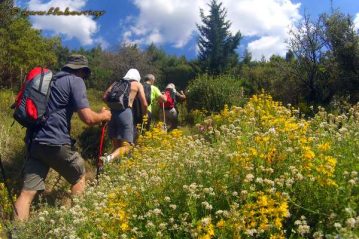 Φλαμπούρι - 2016-06-11 - Πεζοπορική βόλτα στο δρυμό της Πάρνηθας