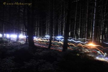 Φλαμπούρι - 2016-06-18 - Απογευματοβραδινή πεζοπορική βόλτα στο ελατόδασος της Πάρνηθας