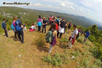 Φλαμπούρι - 2016-06-19 - Πεζοπορική βόλτα στο δρυμό της Πάρνηθας