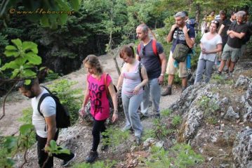 Φλαμπούρι - 2016-06-26 - Πεζοπορική βόλτα στο δρυμό της Πάρνηθας