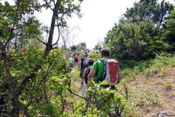 Φλαμπούρι - 2016-07-03 - Πεζοπορική βόλτα στη δροσιά του ελατόδασους της Πάρνηθας