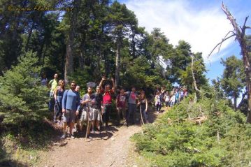 Φλαμπούρι - 2016-09-18 - Πεζοπορία στο δρυμό της Πάρνηθας