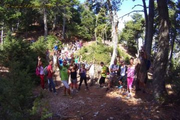 Φλαμπούρι - 2016-09-24 - Πεζοπορική βόλτα στο δρυμό της Πάρνηθας