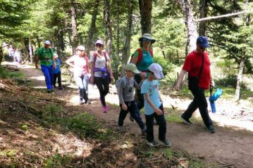 Φλαμπούρι - 2016-09-25 - Πεζοπορική βόλτα για μικρούς και μεγάλους στo ελατόδασος της Πάρνηθας