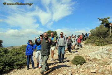 Φλαμπούρι - 2016-10-01 - Πεζοπορική βόλτα στο δρυμό της Πάρνηθας