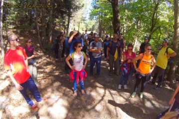Φλαμπούρι - 2016-10-08 - Πεζοπορική βόλτα στο δρυμό της Πάρνηθας