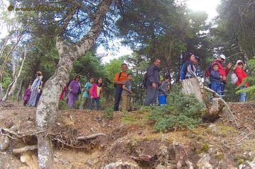 Φλαμπούρι - 2016-10-15 - Πεζοπορική βόλτα για μικρούς και μεγάλους στo ελατόδασος της Πάρνηθας